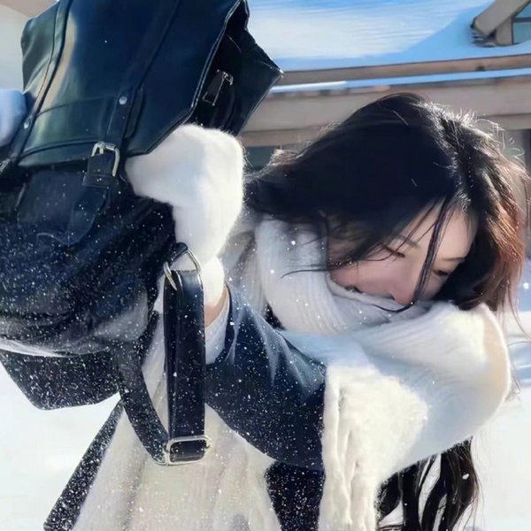 猫头鹰与小飞象